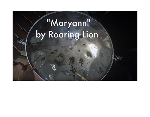 Handpan Dojo- COurs de handpan en ligne