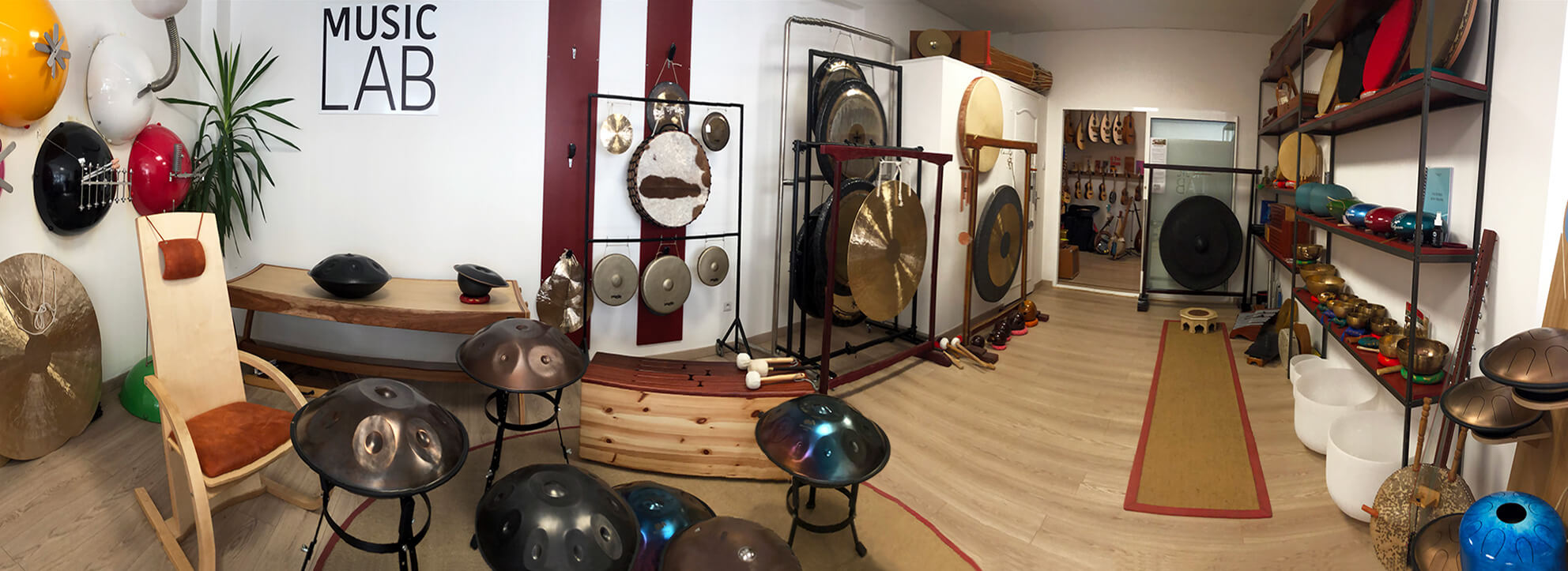 Diversity of musical instruments